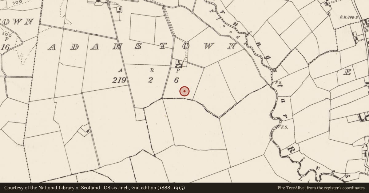 Ordnance Survey six-inch map, 2nd edition (1888–1915) covering the location of Ring-ditch, Adamstown, County Limerick, with a pin at the register's coordinates