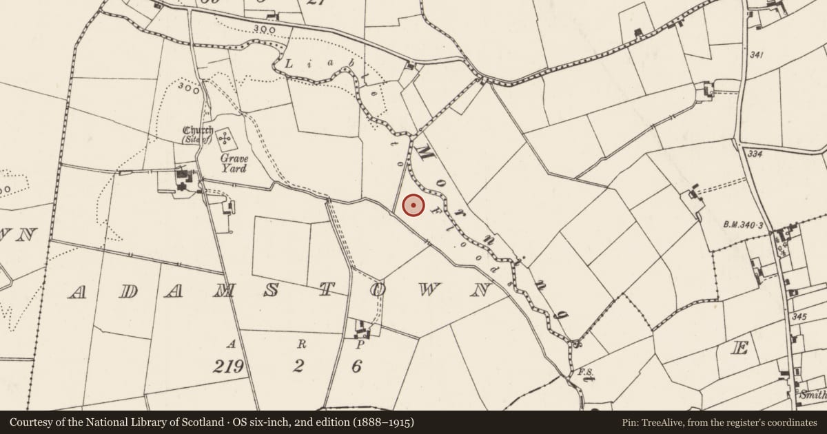 Ordnance Survey six-inch map, 2nd edition (1888–1915) covering the location of Earthwork, Adamstown, County Limerick, with a pin at the register's coordinates