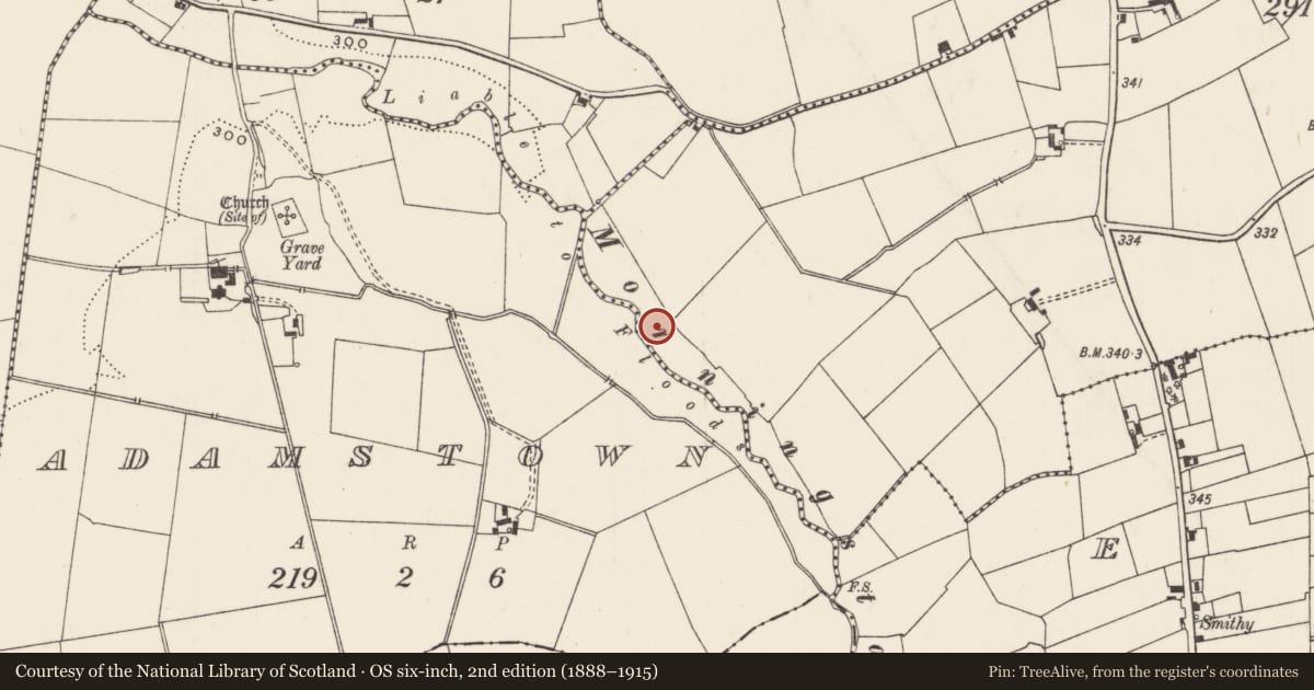 Ordnance Survey six-inch map, 2nd edition (1888–1915) covering the location of Barrow - unclassified, Newtown, County Limerick, with a pin at the register's coordinates
