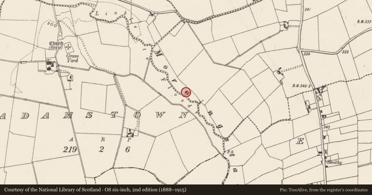 Ordnance Survey six-inch map, 2nd edition (1888–1915) covering the location of Barrow - ditch barrow, Newtown, County Limerick, with a pin at the register's coordinates