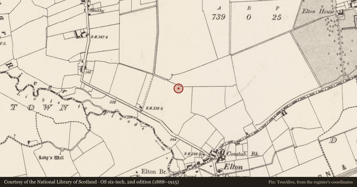 Ordnance Survey six-inch map, 2nd edition (1888–1915) covering the location of Excavation - miscellaneous, Elton, County Limerick, with a pin at the register's coordinates