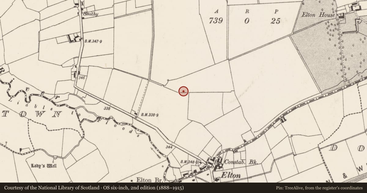 Ordnance Survey six-inch map, 2nd edition (1888–1915) covering the location of Barrow - unclassified, Elton, County Limerick, with a pin at the register's coordinates