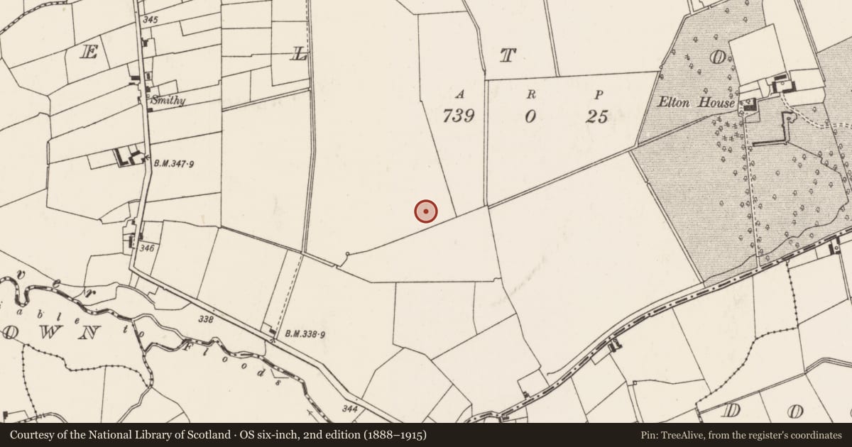 Ordnance Survey six-inch map, 2nd edition (1888–1915) covering the location of Barrow - unclassified, Elton, County Limerick, with a pin at the register's coordinates