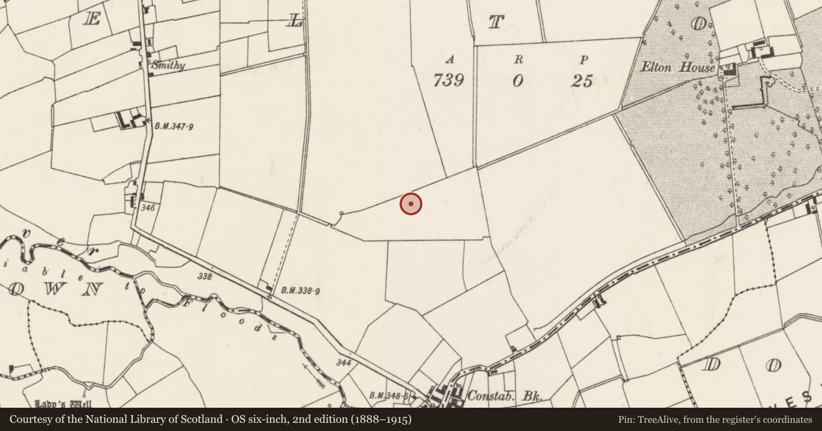 Ordnance Survey six-inch map, 2nd edition (1888–1915) covering the location of Barrow - ditch barrow, Elton, County Limerick, with a pin at the register's coordinates