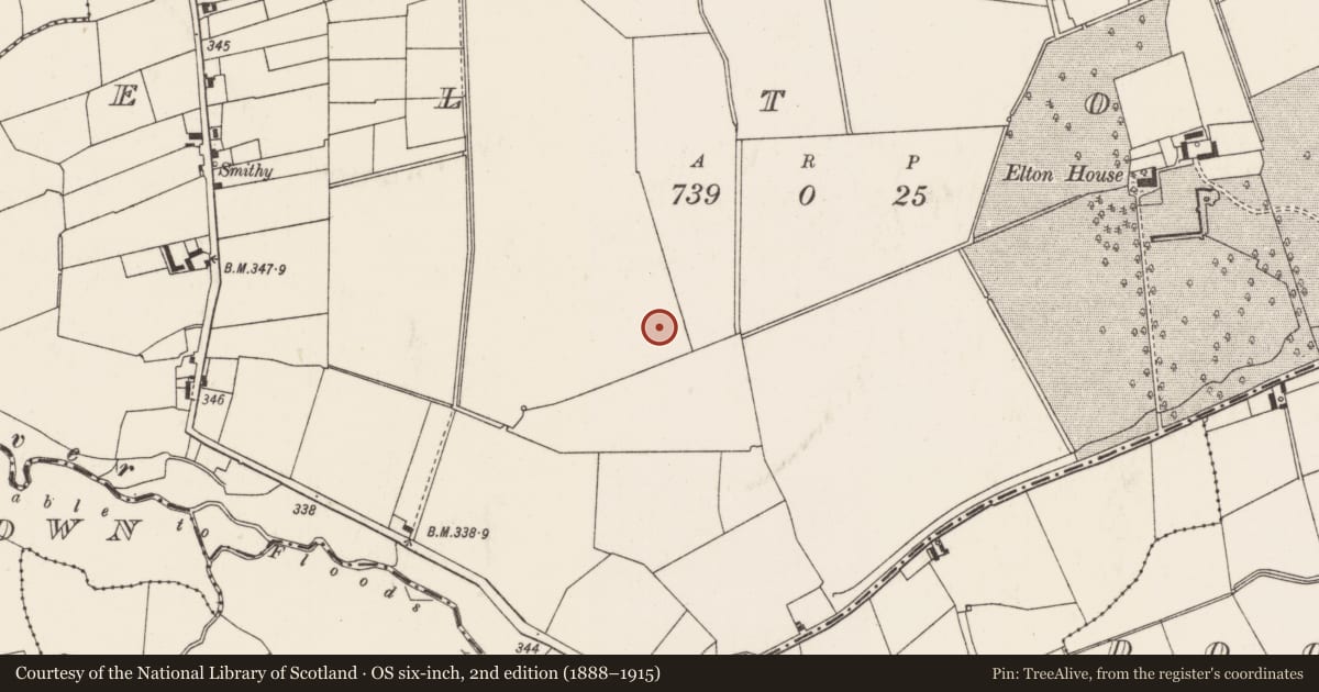 Ordnance Survey six-inch map, 2nd edition (1888–1915) covering the location of Barrow - unclassified, Elton, County Limerick, with a pin at the register's coordinates