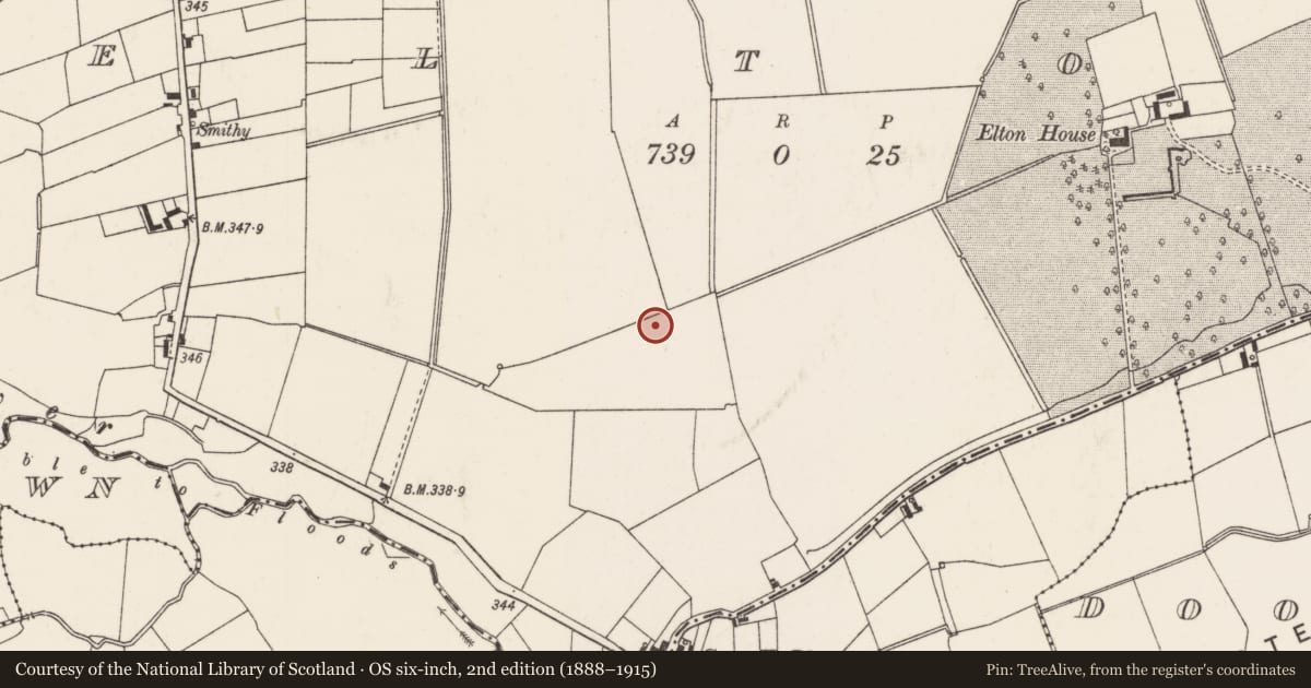 Ordnance Survey six-inch map, 2nd edition (1888–1915) covering the location of Barrow - ditch barrow, Elton, County Limerick, with a pin at the register's coordinates