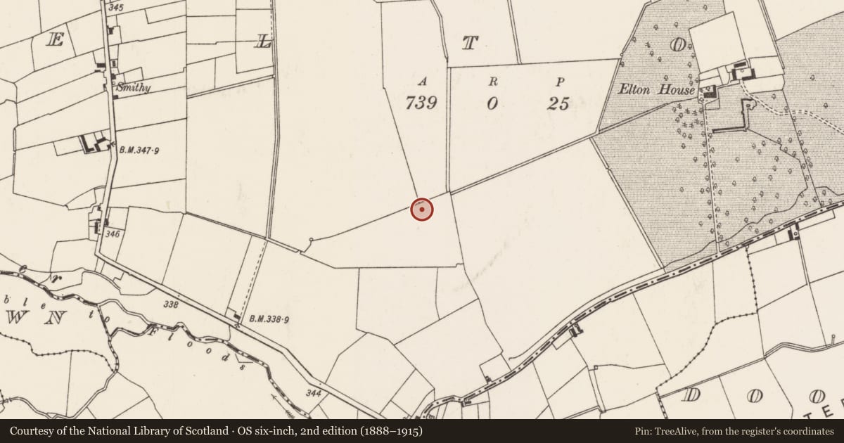 Ordnance Survey six-inch map, 2nd edition (1888–1915) covering the location of Barrow - unclassified, Elton, County Limerick, with a pin at the register's coordinates