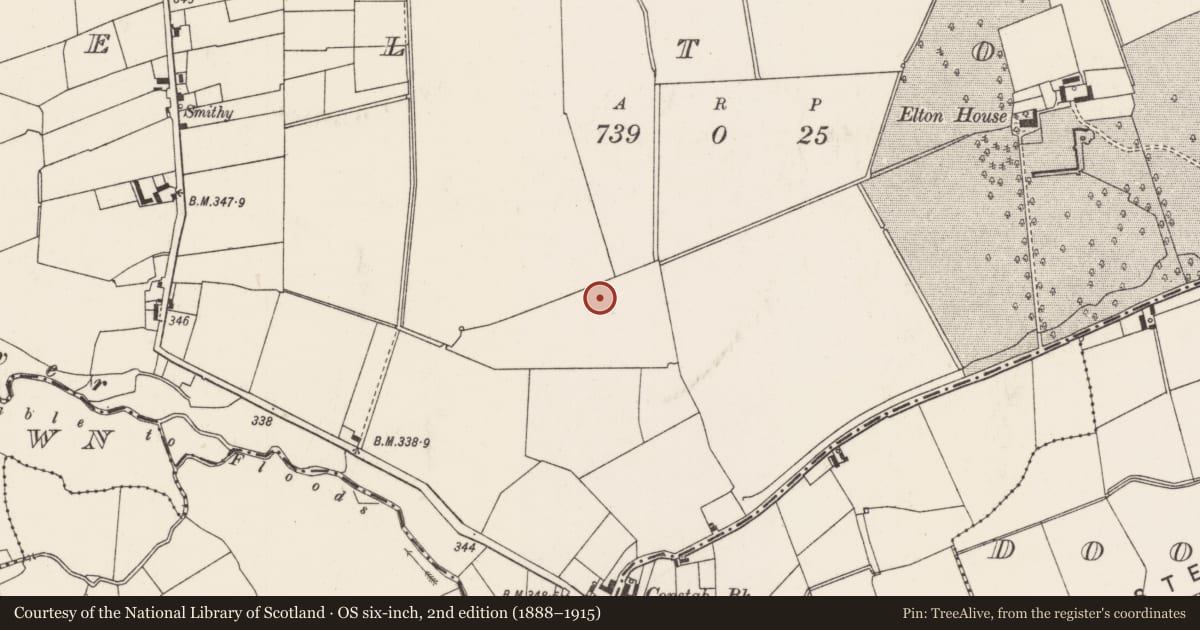 Ordnance Survey six-inch map, 2nd edition (1888–1915) covering the location of Barrow - unclassified, Elton, County Limerick, with a pin at the register's coordinates