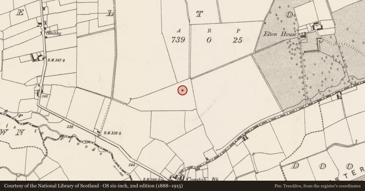 Ordnance Survey six-inch map, 2nd edition (1888–1915) covering the location of Barrow - ditch barrow, Elton, County Limerick, with a pin at the register's coordinates