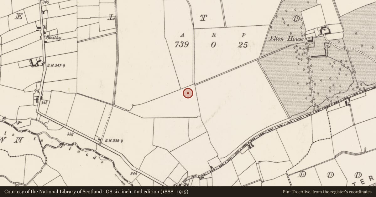 Ordnance Survey six-inch map, 2nd edition (1888–1915) covering the location of Barrow - ditch barrow, Elton, County Limerick, with a pin at the register's coordinates