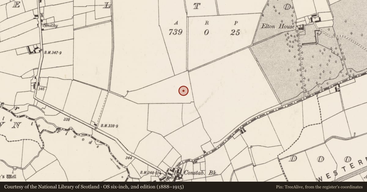 Ordnance Survey six-inch map, 2nd edition (1888–1915) covering the location of Barrow - ditch barrow, Elton, County Limerick, with a pin at the register's coordinates