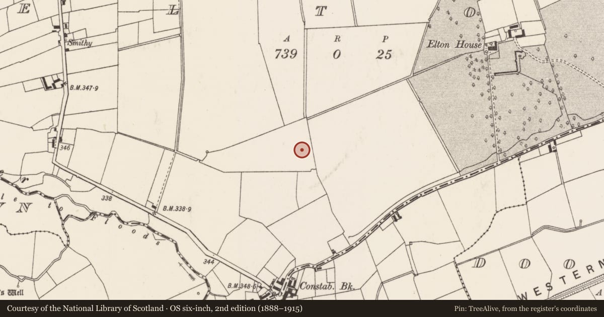 Ordnance Survey six-inch map, 2nd edition (1888–1915) covering the location of Barrow - ditch barrow, Elton, County Limerick, with a pin at the register's coordinates