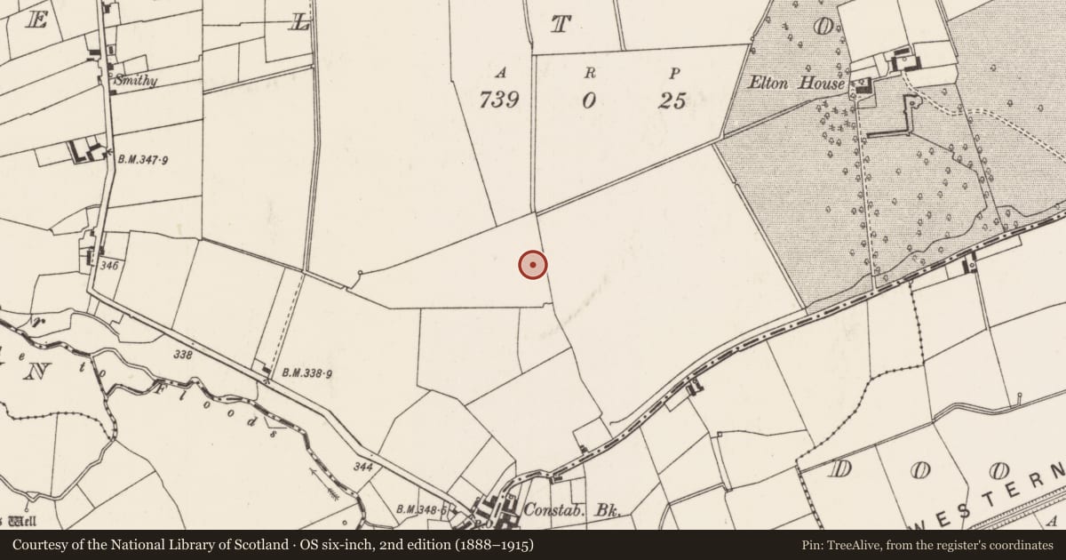 Ordnance Survey six-inch map, 2nd edition (1888–1915) covering the location of Barrow - ditch barrow, Elton, County Limerick, with a pin at the register's coordinates