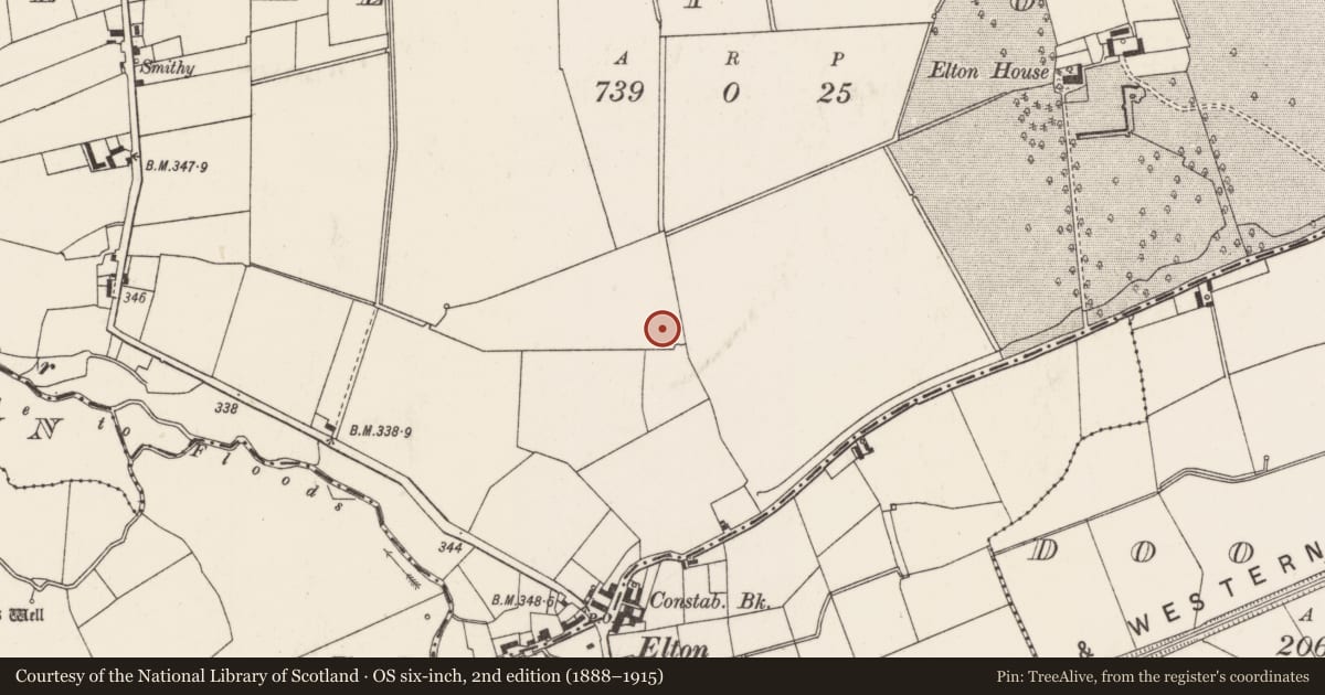 Ordnance Survey six-inch map, 2nd edition (1888–1915) covering the location of Barrow - ditch barrow, Elton, County Limerick, with a pin at the register's coordinates