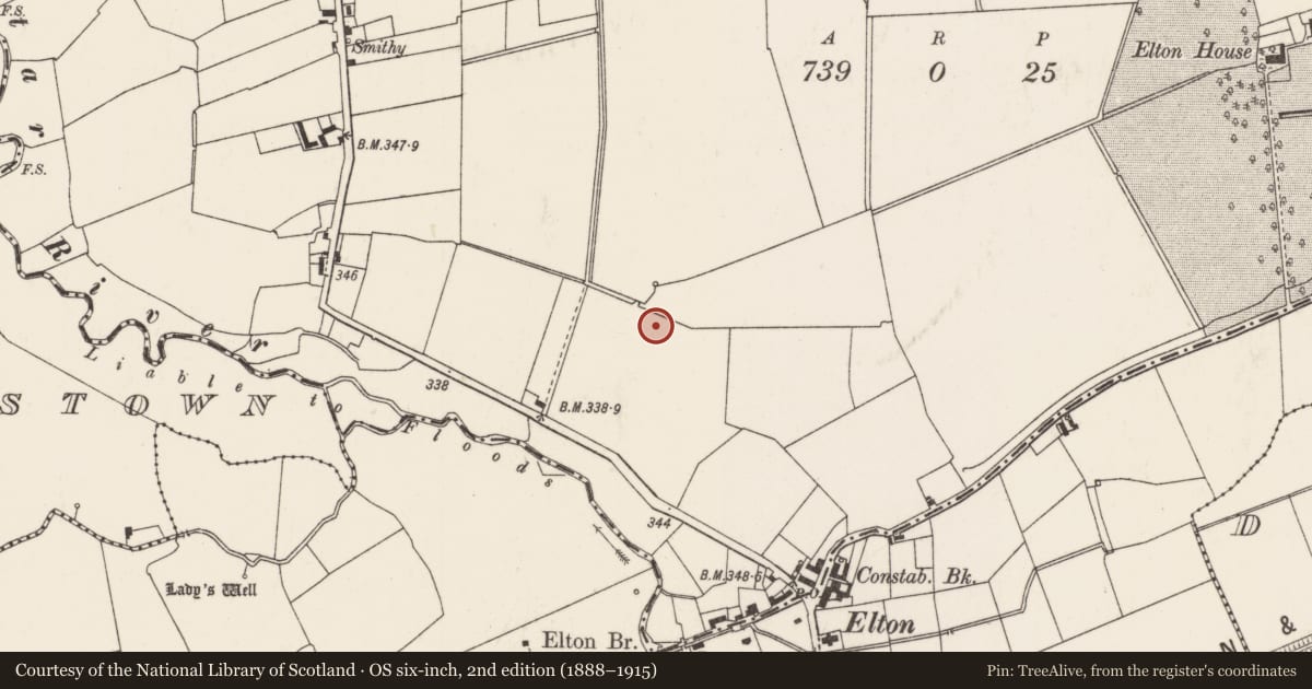 Ordnance Survey six-inch map, 2nd edition (1888–1915) covering the location of Excavation - miscellaneous, Elton, County Limerick, with a pin at the register's coordinates