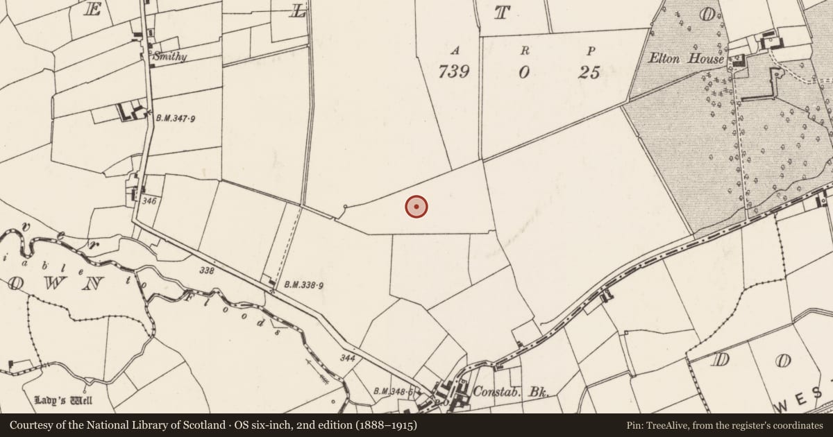 Ordnance Survey six-inch map, 2nd edition (1888–1915) covering the location of Barrow - ditch barrow, Elton, County Limerick, with a pin at the register's coordinates