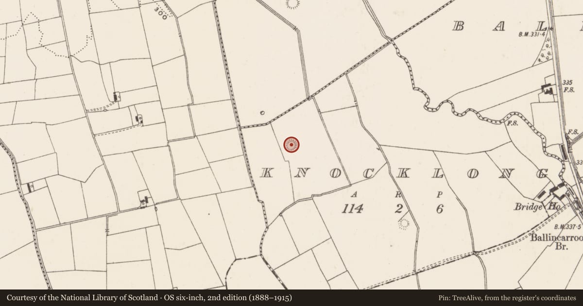 Ordnance Survey six-inch map, 2nd edition (1888–1915) covering the location of Ringfort - rath, Knocklong, County Limerick, with a pin at the register's coordinates