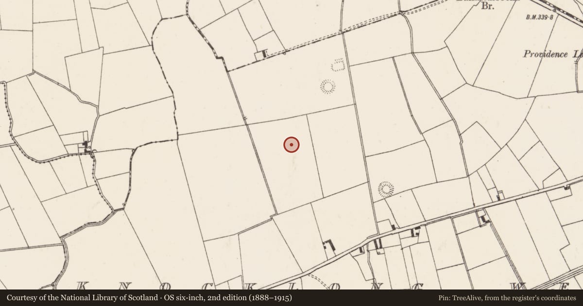 Ordnance Survey six-inch map, 2nd edition (1888–1915) covering the location of Earthwork, Knocklong West, County Limerick, with a pin at the register's coordinates