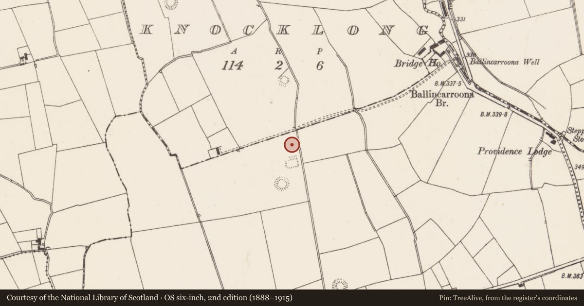 Ordnance Survey six-inch map, 2nd edition (1888–1915) covering the location of Barrow - ditch barrow, Knocklong West, County Limerick, with a pin at the register's coordinates