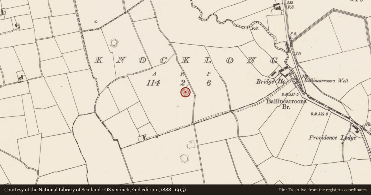 Ordnance Survey six-inch map, 2nd edition (1888–1915) covering the location of Ringfort - rath, Knocklong, County Limerick, with a pin at the register's coordinates