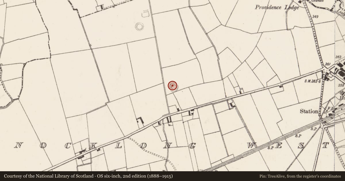 Ordnance Survey six-inch map, 2nd edition (1888–1915) covering the location of Earthwork, Knocklong West, County Limerick, with a pin at the register's coordinates
