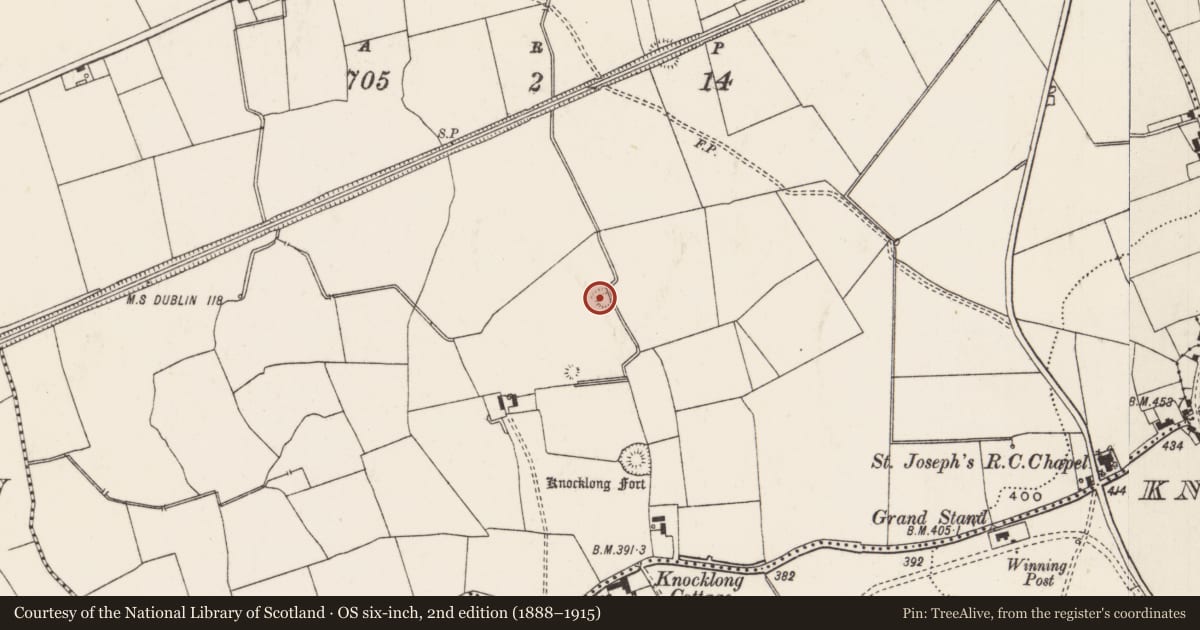 Ordnance Survey six-inch map, 2nd edition (1888–1915) covering the location of Burial mound, Knocklong West, County Limerick, with a pin at the register's coordinates
