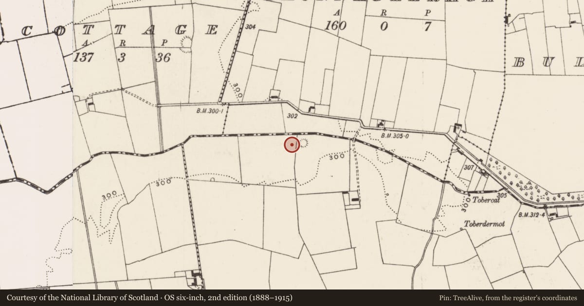 Ordnance Survey six-inch map, 2nd edition (1888–1915) covering the location of Ringfort - rath, Ballygrennan, County Limerick, with a pin at the register's coordinates