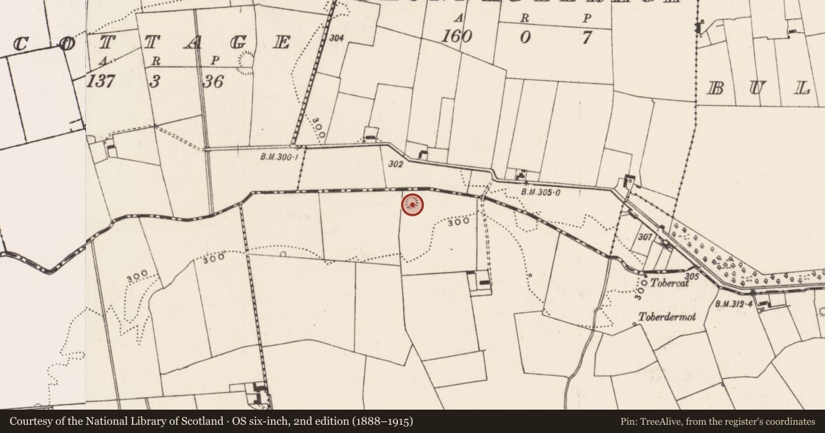 Ordnance Survey six-inch map, 2nd edition (1888–1915) covering the location of Ringfort - rath, Ballygrennan, County Limerick, with a pin at the register's coordinates
