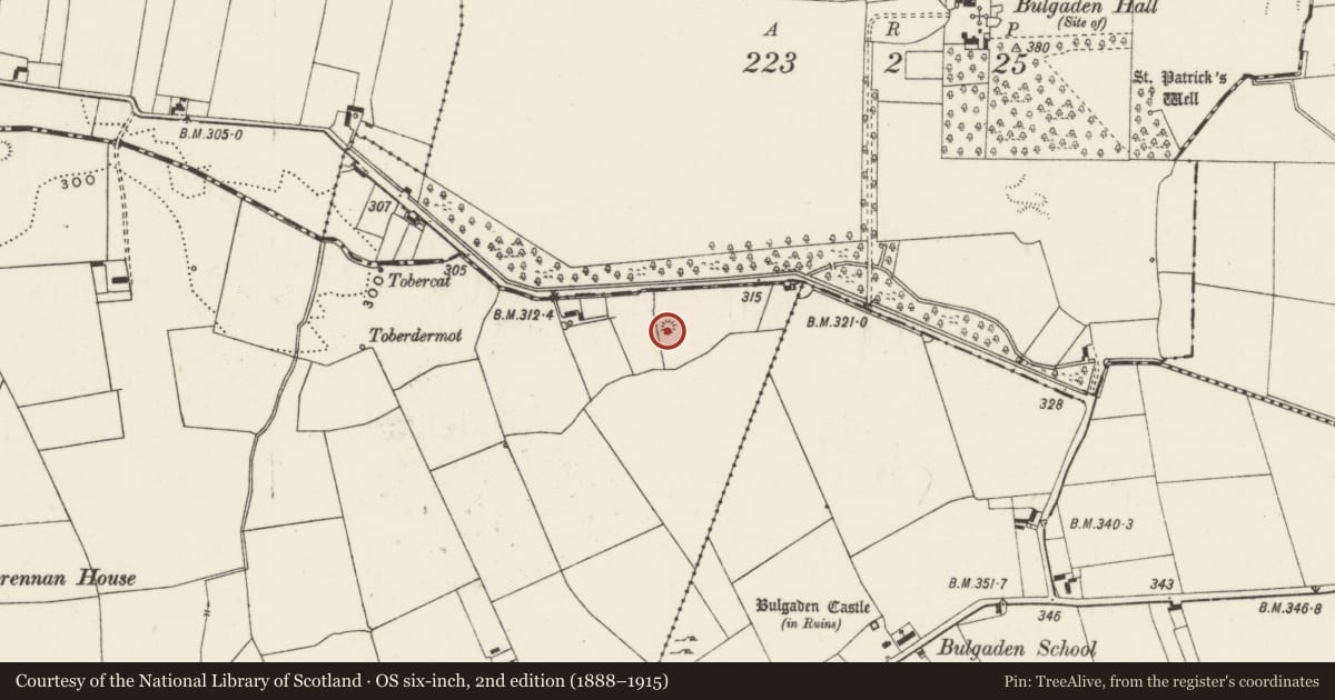 Ordnance Survey six-inch map, 2nd edition (1888–1915) covering the location of Earthwork, Ballygrennan, County Limerick, with a pin at the register's coordinates