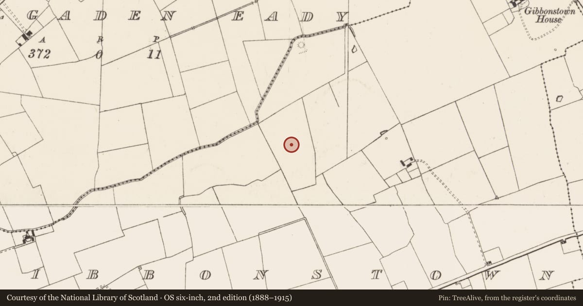 Ordnance Survey six-inch map, 2nd edition (1888–1915) covering the location of Earthwork, Gibbonstown, County Limerick, with a pin at the register's coordinates
