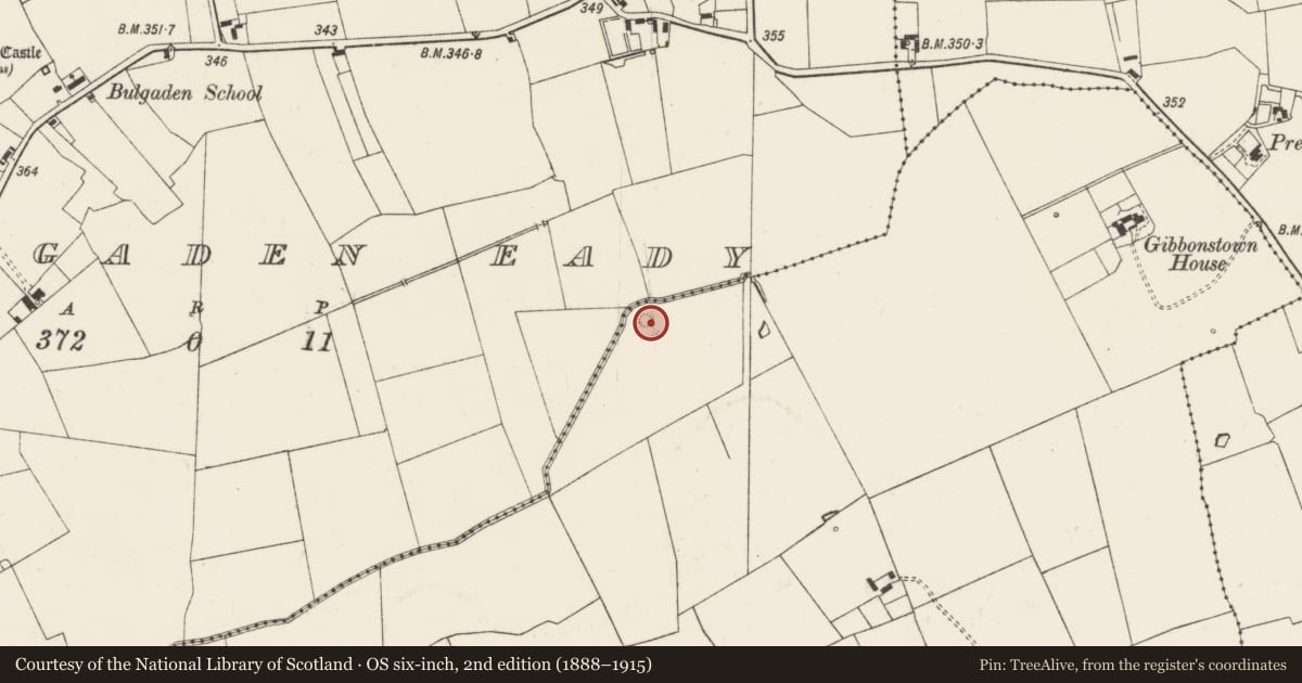 Ordnance Survey six-inch map, 2nd edition (1888–1915) covering the location of Earthwork, Gibbonstown, County Limerick, with a pin at the register's coordinates