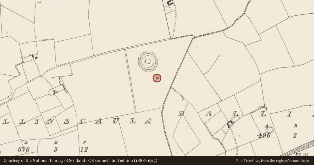 Ordnance Survey six-inch map, 2nd edition (1888–1915) covering the location of Earthwork, Ballinscaula, County Limerick, with a pin at the register's coordinates