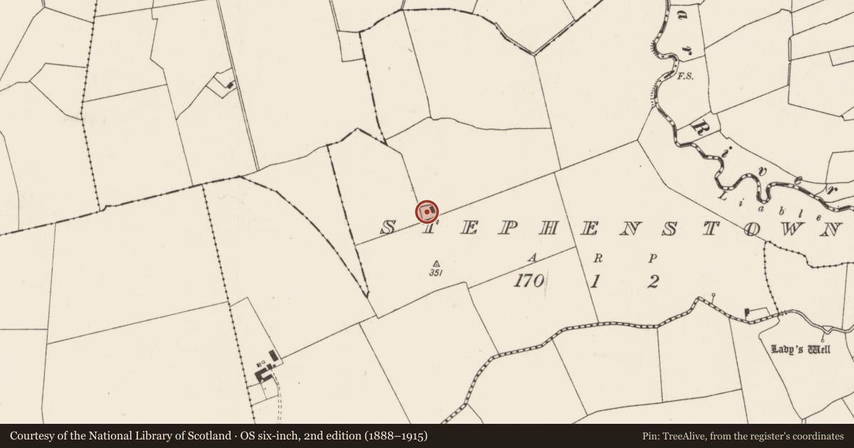 Ordnance Survey six-inch map, 2nd edition (1888–1915) covering the location of Enclosure, Stephenstown, County Limerick, with a pin at the register's coordinates