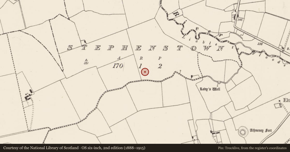 Ordnance Survey six-inch map, 2nd edition (1888–1915) covering the location of Barrow - unclassified, Stephenstown, County Limerick, with a pin at the register's coordinates