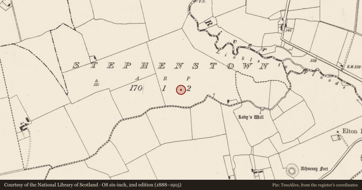 Ordnance Survey six-inch map, 2nd edition (1888–1915) covering the location of Barrow - unclassified, Stephenstown, County Limerick, with a pin at the register's coordinates
