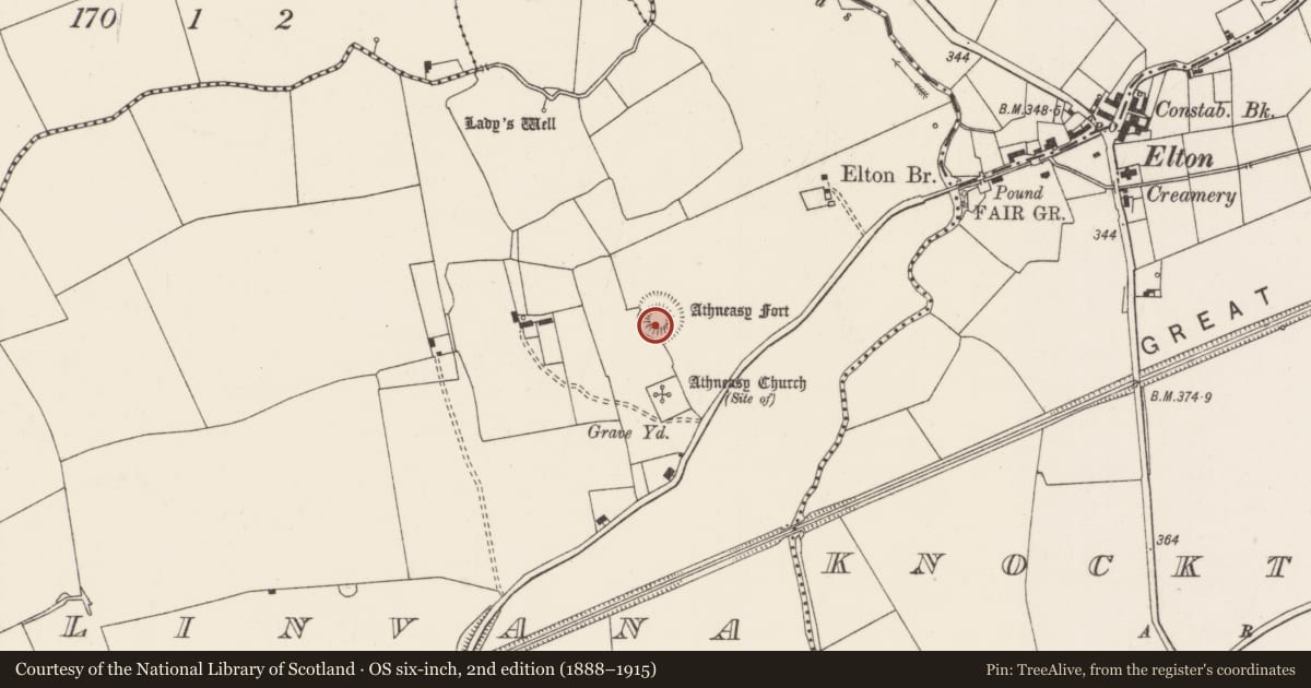 Ordnance Survey six-inch map, 2nd edition (1888–1915) covering the location of Castle - motte and bailey, Ballinvana, County Limerick, with a pin at the register's coordinates