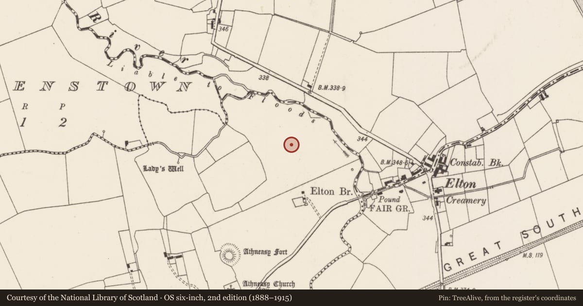 Ordnance Survey six-inch map, 2nd edition (1888–1915) covering the location of Field system, Ballinvana, County Limerick, with a pin at the register's coordinates