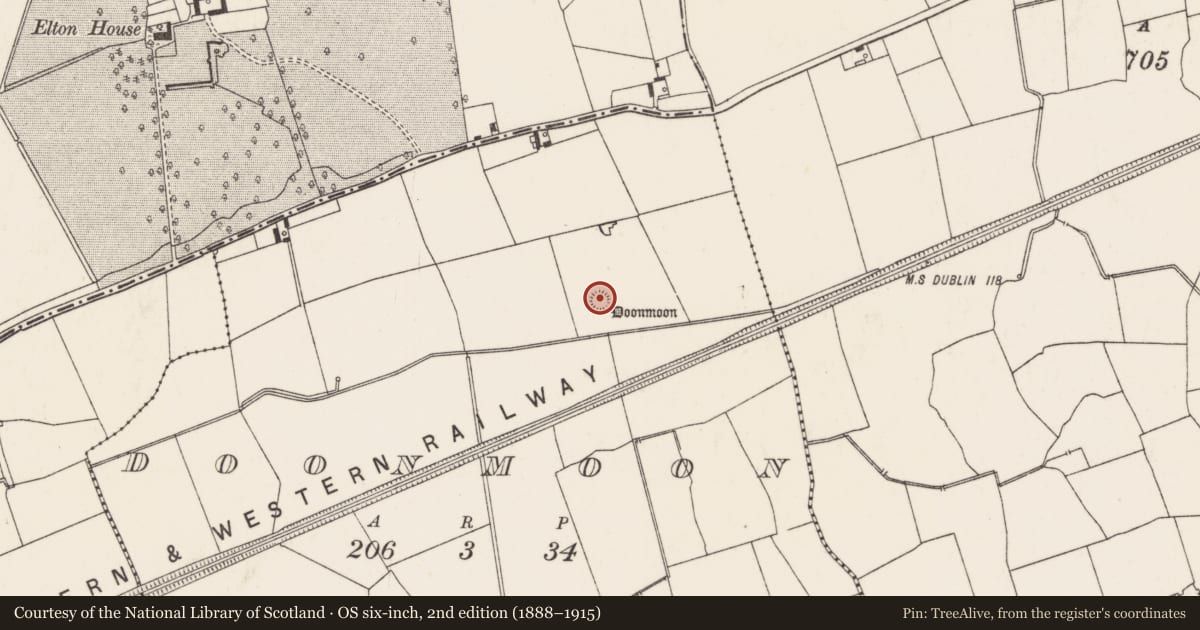 Ordnance Survey six-inch map, 2nd edition (1888–1915) covering the location of Ringfort - rath, Doonmoon, County Limerick, with a pin at the register's coordinates