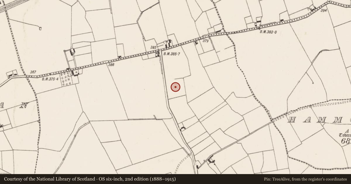 Ordnance Survey six-inch map, 2nd edition (1888–1915) covering the location of Barrow - unclassified, Ballynahinch, County Limerick, with a pin at the register's coordinates