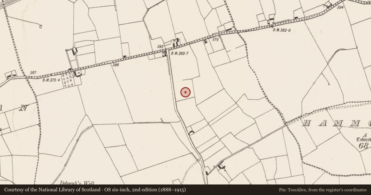 Ordnance Survey six-inch map, 2nd edition (1888–1915) covering the location of Barrow - unclassified, Ballynahinch, County Limerick, with a pin at the register's coordinates