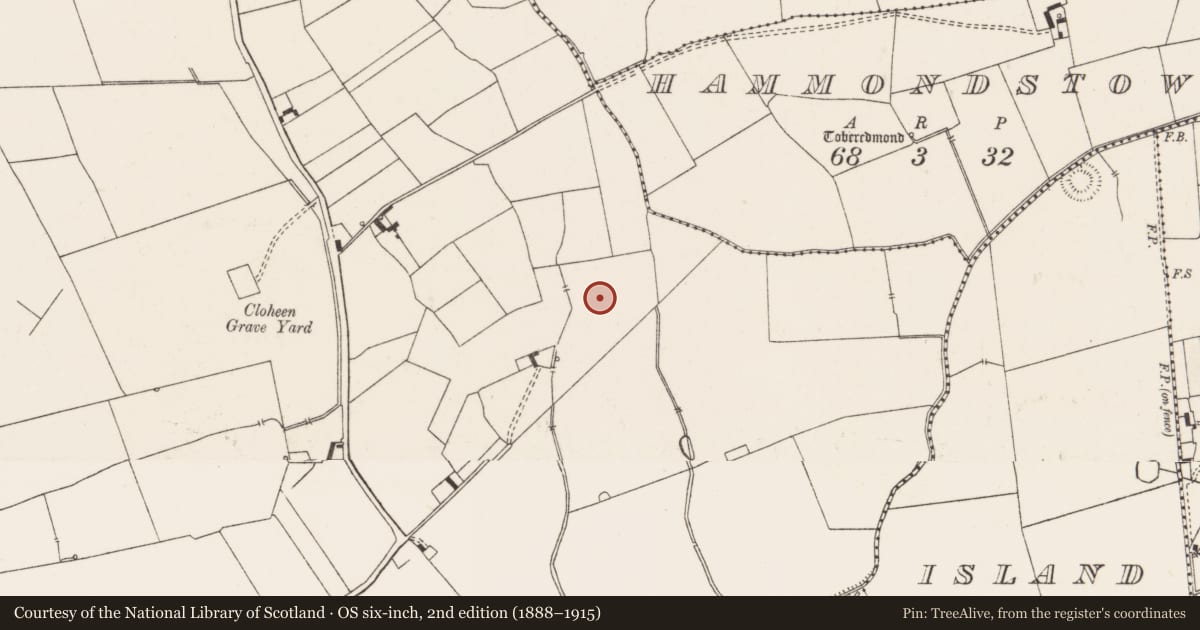 Ordnance Survey six-inch map, 2nd edition (1888–1915) covering the location of Ring-ditch, Ballynahinch, County Limerick, with a pin at the register's coordinates