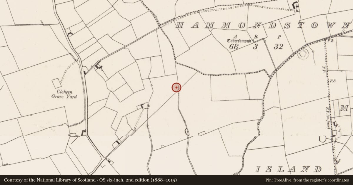 Ordnance Survey six-inch map, 2nd edition (1888–1915) covering the location of Ring-ditch, Ballynahinch, County Limerick, with a pin at the register's coordinates