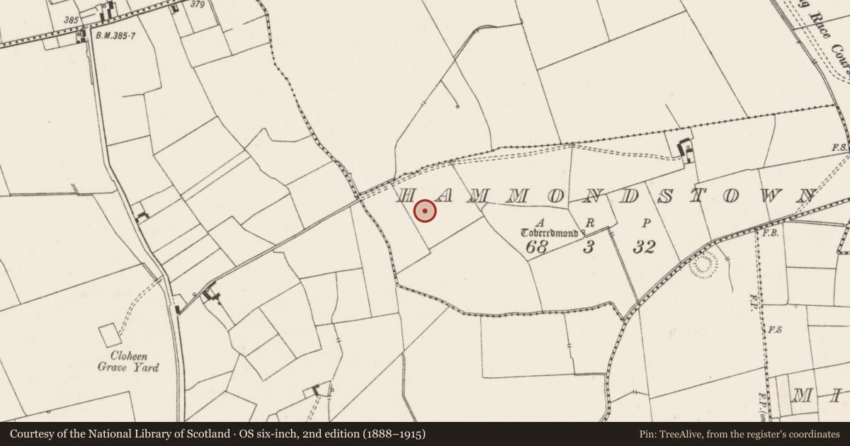 Ordnance Survey six-inch map, 2nd edition (1888–1915) covering the location of Earthwork, Hammondstown, County Limerick, with a pin at the register's coordinates