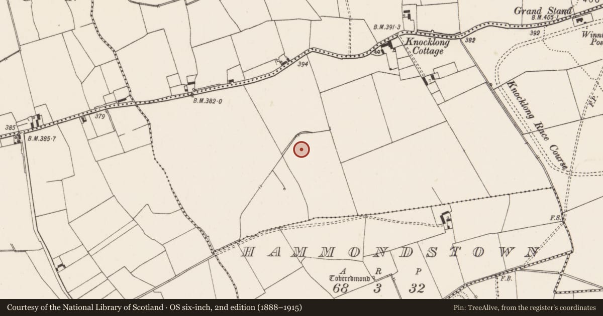 Ordnance Survey six-inch map, 2nd edition (1888–1915) covering the location of Earthwork, Knocklong East, County Limerick, with a pin at the register's coordinates