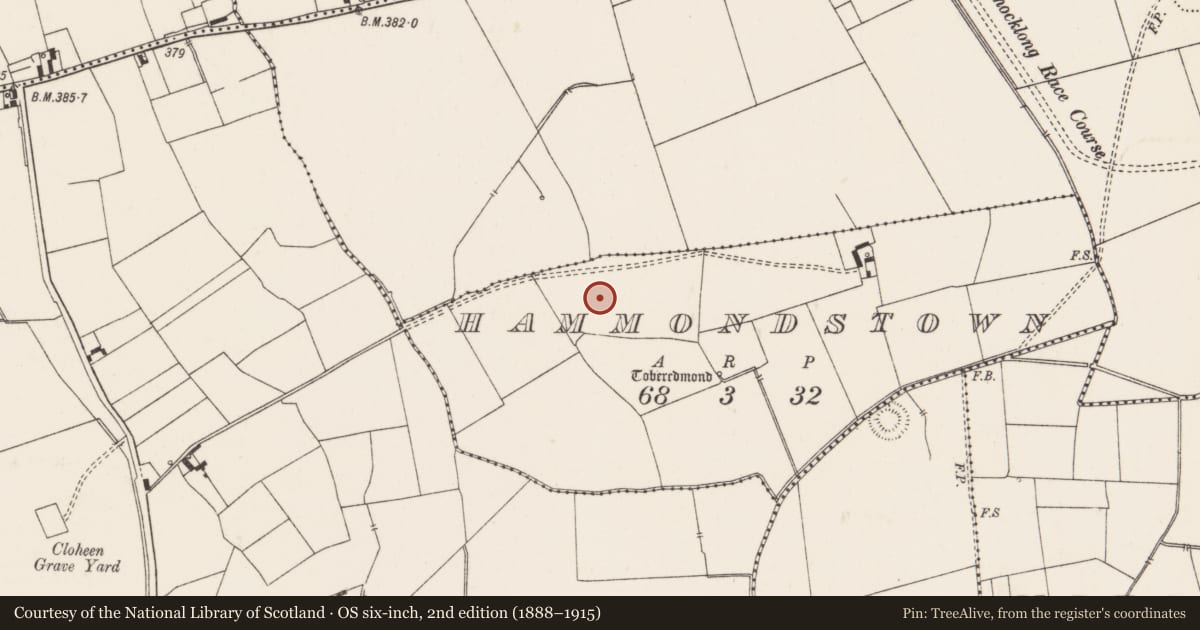 Ordnance Survey six-inch map, 2nd edition (1888–1915) covering the location of Earthwork, Hammondstown, County Limerick, with a pin at the register's coordinates