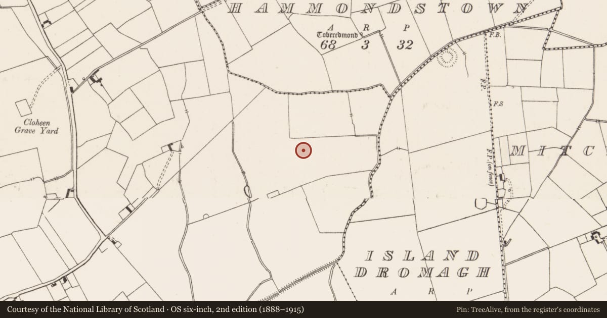 Ordnance Survey six-inch map, 2nd edition (1888–1915) covering the location of Barrow - unclassified, Ballynahinch, County Limerick, with a pin at the register's coordinates