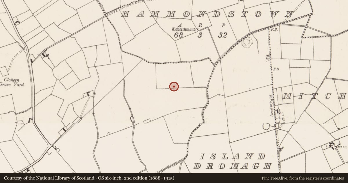 Ordnance Survey six-inch map, 2nd edition (1888–1915) covering the location of Barrow - ditch barrow, Ballynahinch, County Limerick, with a pin at the register's coordinates