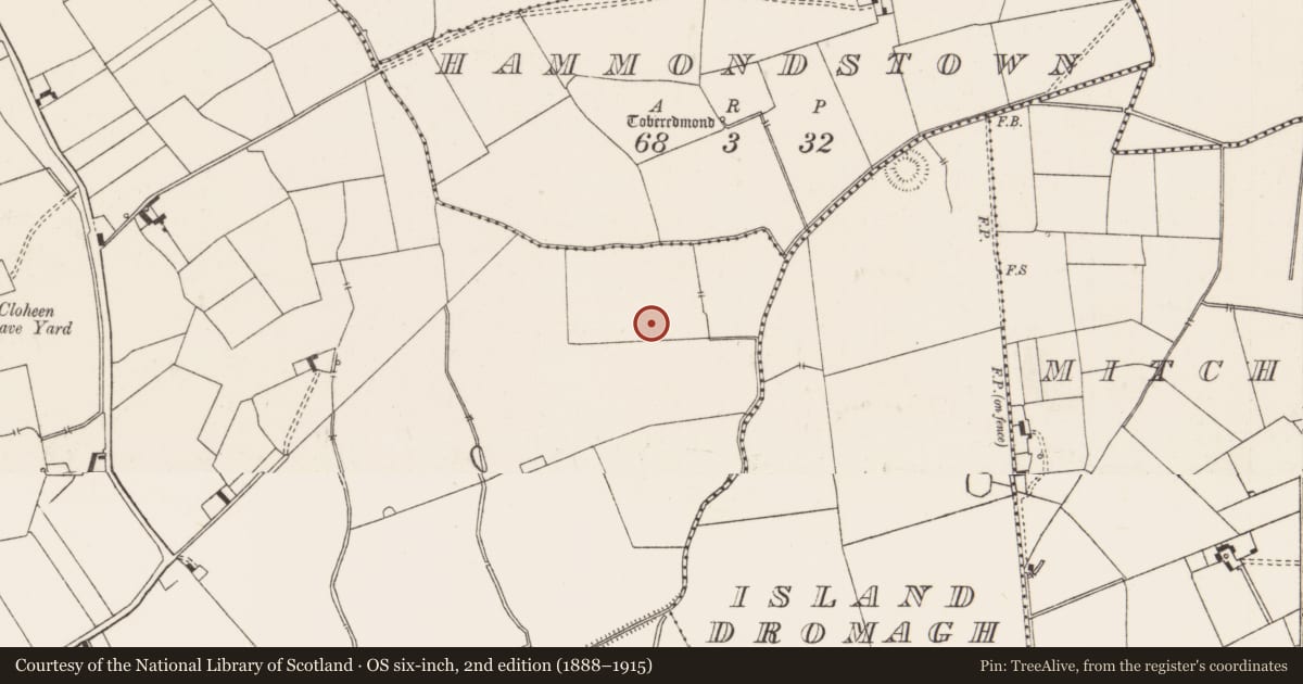 Ordnance Survey six-inch map, 2nd edition (1888–1915) covering the location of Barrow - unclassified, Ballynahinch, County Limerick, with a pin at the register's coordinates