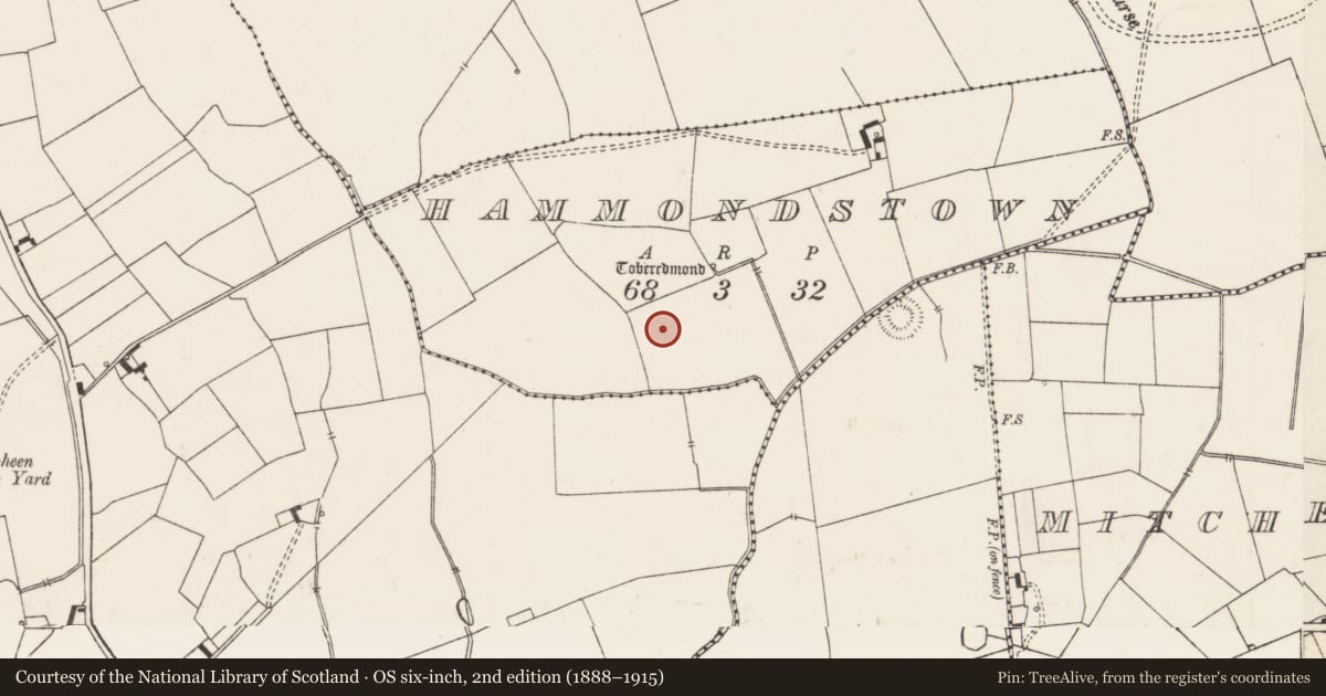 Ordnance Survey six-inch map, 2nd edition (1888–1915) covering the location of Enclosure, Hammondstown, County Limerick, with a pin at the register's coordinates