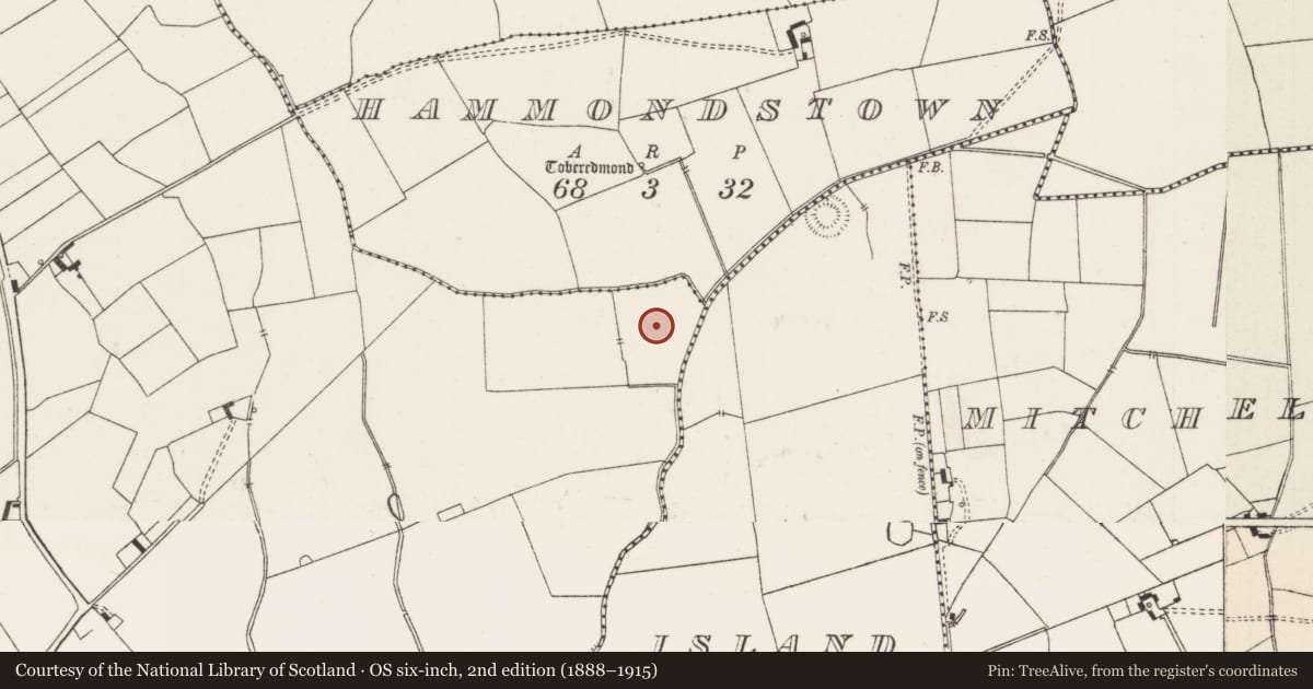 Ordnance Survey six-inch map, 2nd edition (1888–1915) covering the location of Field system, Ballynahinch, County Limerick, with a pin at the register's coordinates